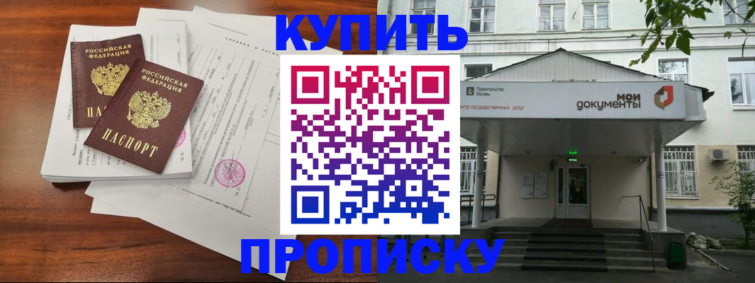 прописка для школы в Мамадыше